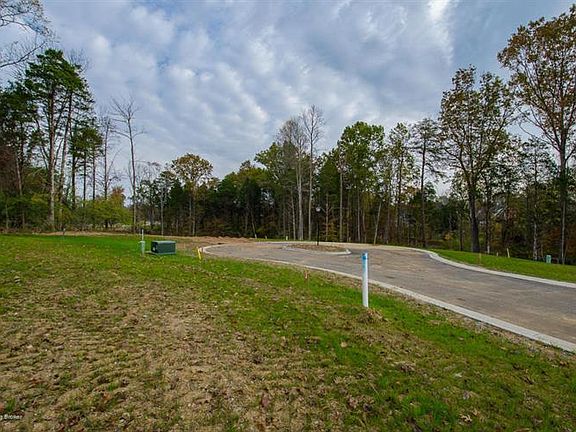 5th image of 14000 Fancy Gap Dr