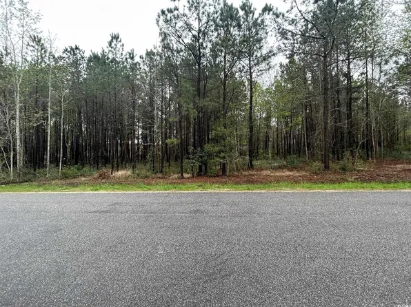 TBD Huckleberry Rd., Galivants Ferry, SC 29544