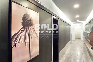 Rented by Bold New York