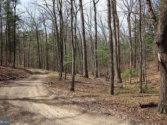 5th image of Hodges Ln Lot 12
