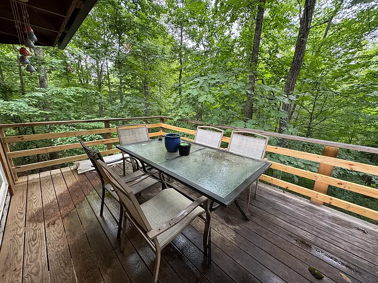 Back deck