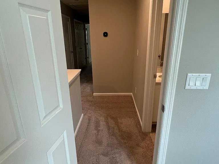 232 Mustard Hill Ct — Photo 53