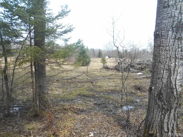 0 Lower Worham Rd, Chassell, MI 49916