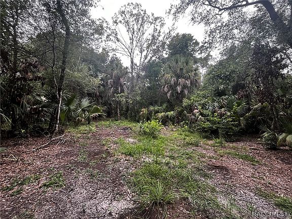 4th image of 8624 N Barberry Way