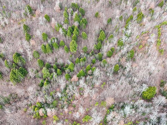 4th image of 999 Jervis Rd