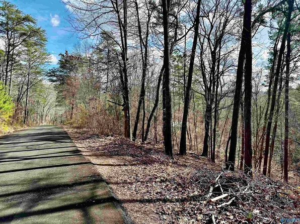 0.40 8th St NW, Fort Payne, AL 35967