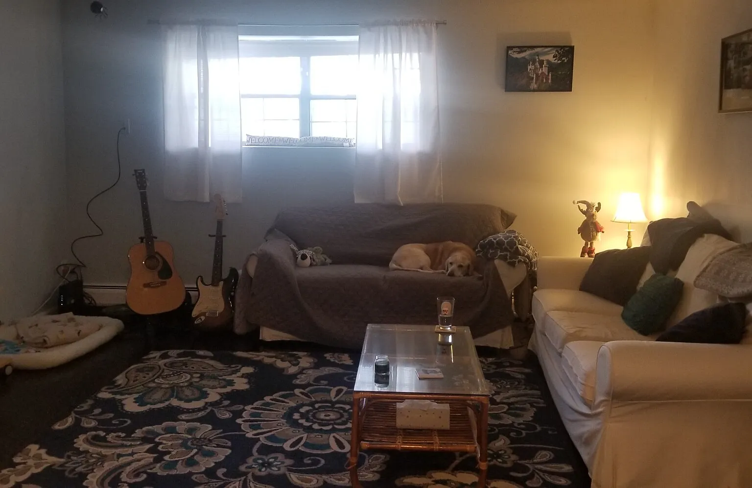 1 bed, 1.0 bath, $2,300 — Photo 2
