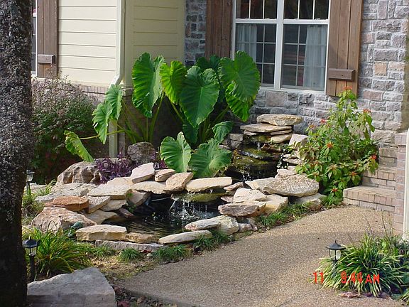 2-tier Fish pond/Garden area