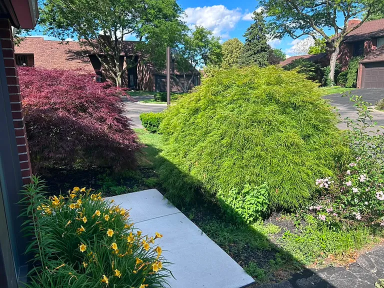 29 Blair Ln — Photo 46