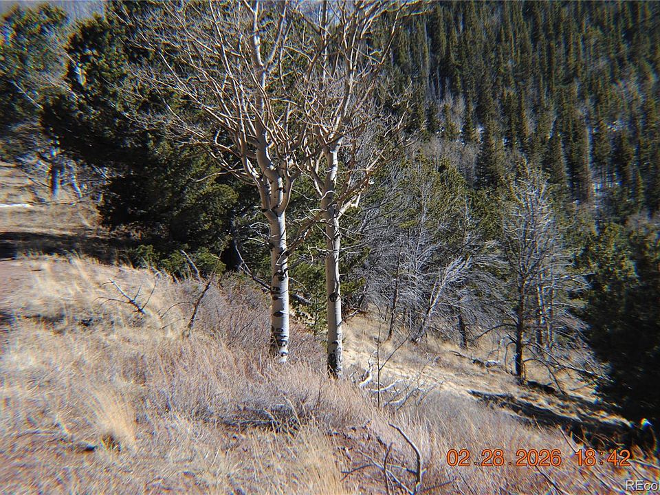 1st image of 2734 NEWMAN