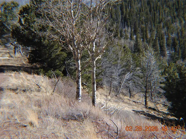 2734 NEWMAN, Fort Garland, CO 81133