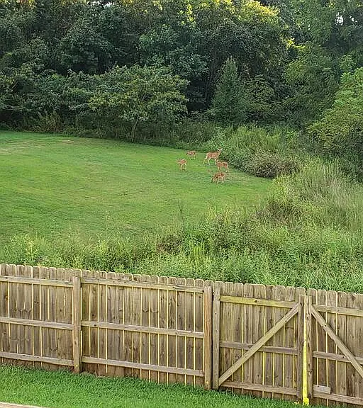 Tracy Ln — Photo 3
