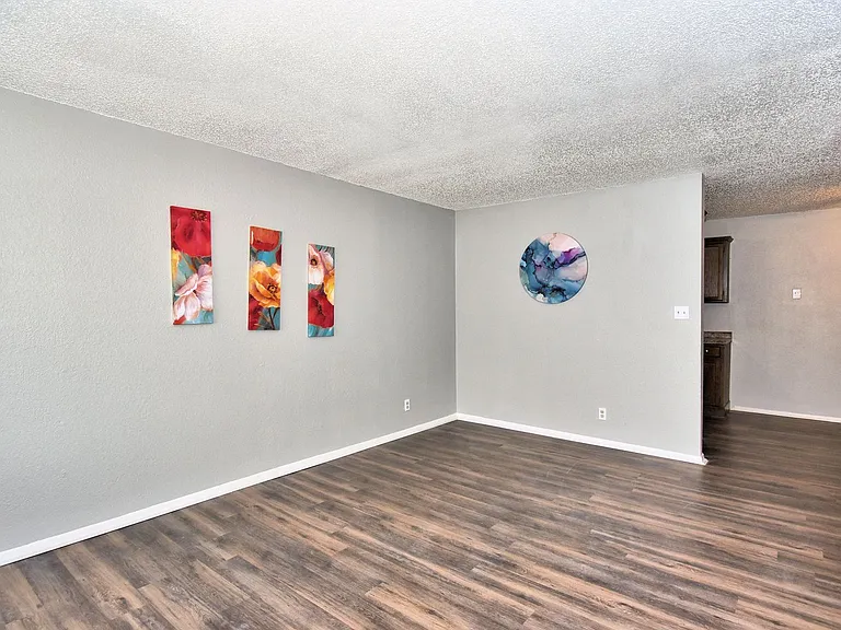 South Point Apartments — Photo 8