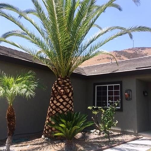 1st image of 3680 Shandin Cir