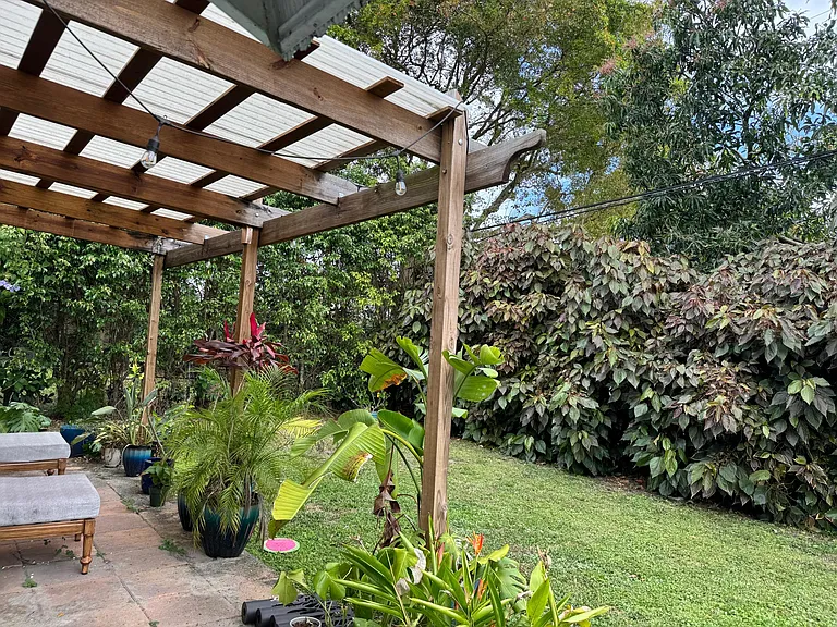 Backyard Barbecue and pergola