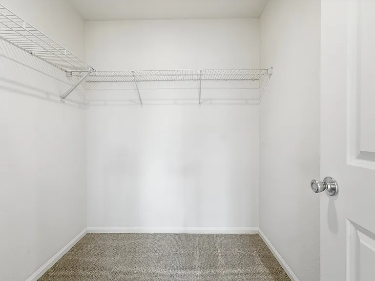 14136 Blue Heart Ct — Photo 20