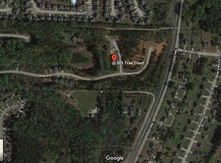 305 Trae Ct, Hampton, GA 30228