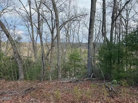 3rd image of 973 Ridgefield Dr Lot 973
