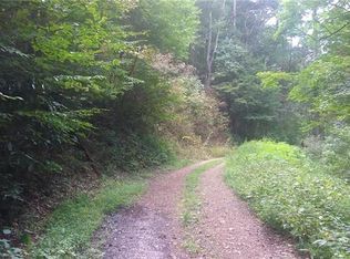 00 Conley Springs Rd, Clyde, NC 28721