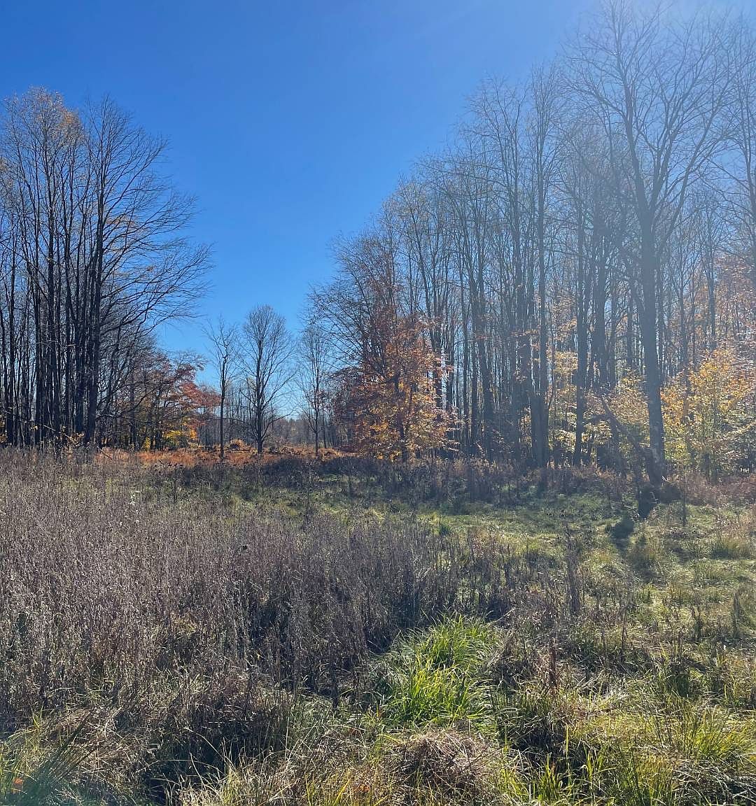 0 Dietz Rd, Kersey, PA 15846 MLS 11148021 Zillow