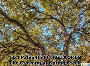 1321 Palmetto Point, Spring Branch, TX 78070