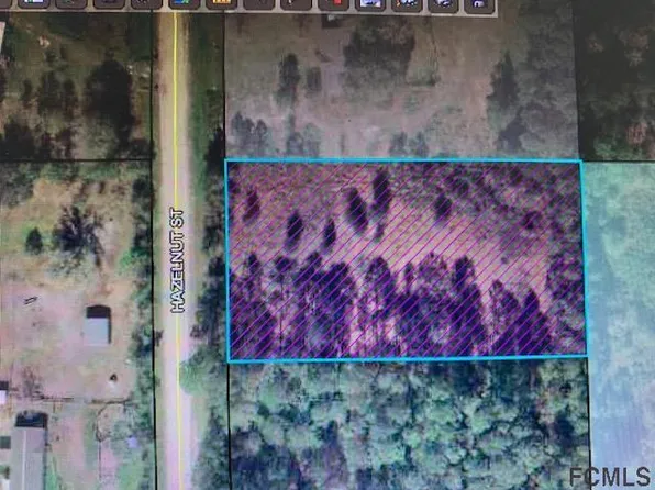 1225 Hazelnut St, Bunnell, FL 32110