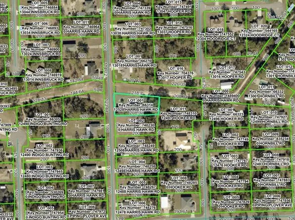 12528 Harris Hawk Rd Lot 1, Brooksville, FL 34614