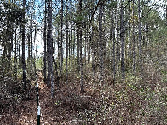 4th image of 11 Red Oak Rd