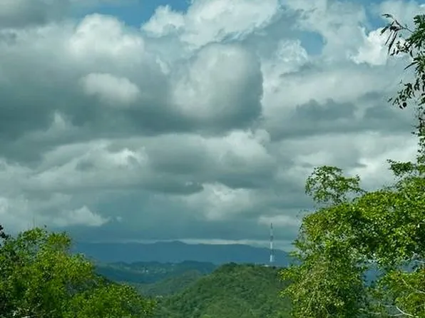 5 Six Bocanas, Ponce, PR 00731