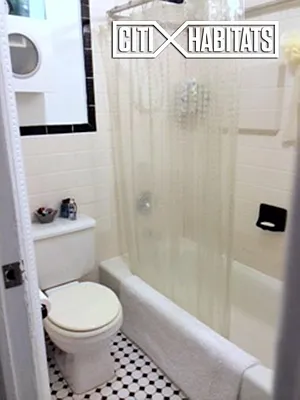 Rented by Citi Habitats | media 19