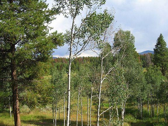 View from deck-common area of 138 acres