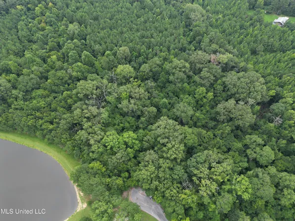 Pine Lake Dr, Terry, MS 39170