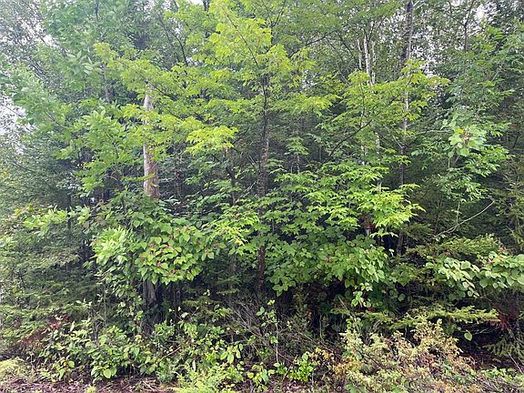 3rd image of LOT 187 Pineview Dr