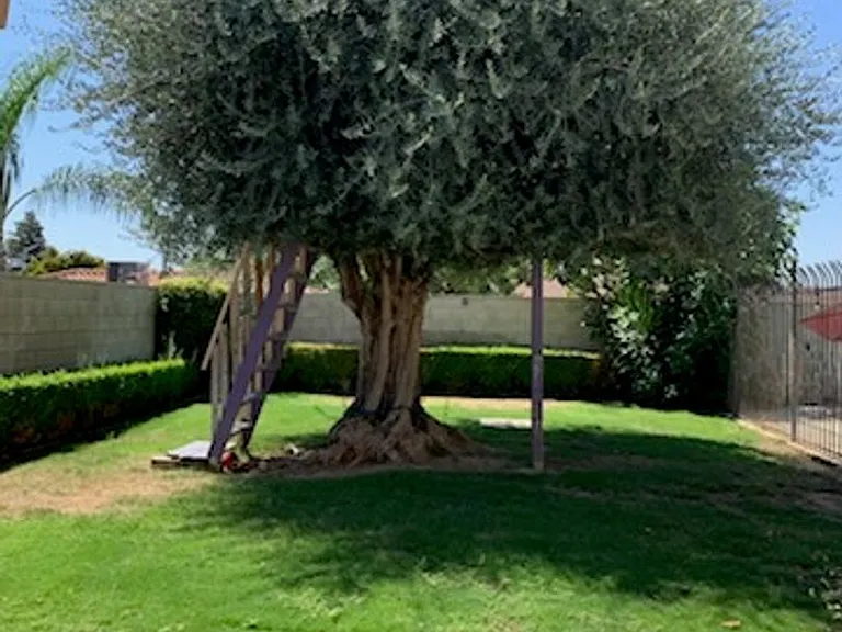 4605 Christmas Tree Ln — Photo 11