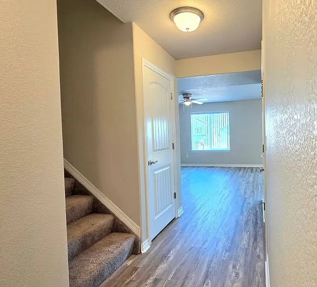 12729 Windingwalk Dr — Photo 3