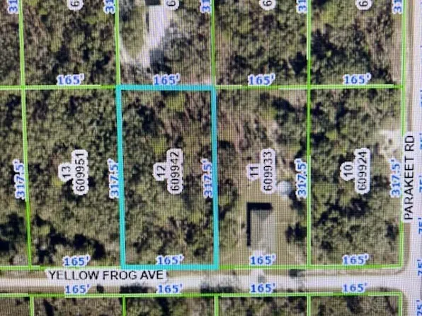 0 Yellow Frog Ave, Weeki Wachee, FL 34614