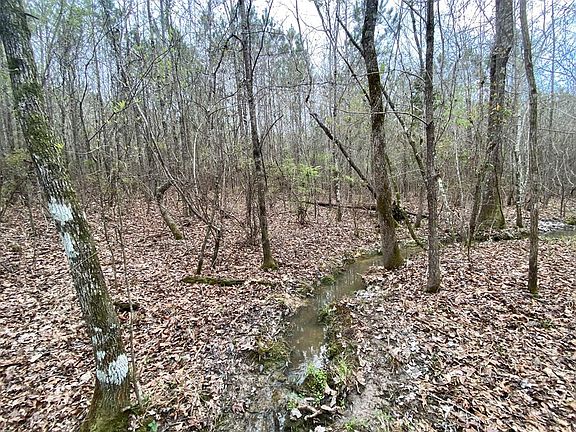 4th image of 47 Mose Hilliard Rd
