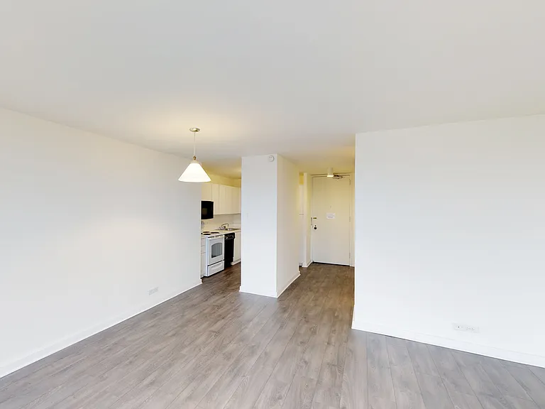 Dining/Living room