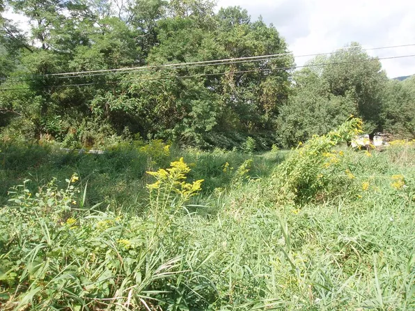 0 Marsh Creek Rd, Wellsboro, PA 16901