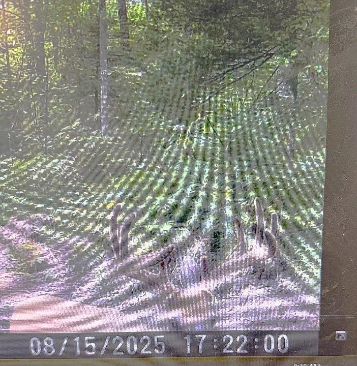 1st image of 356 Co Rd