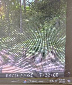 356 Co Rd, Daggett, MI, 49821