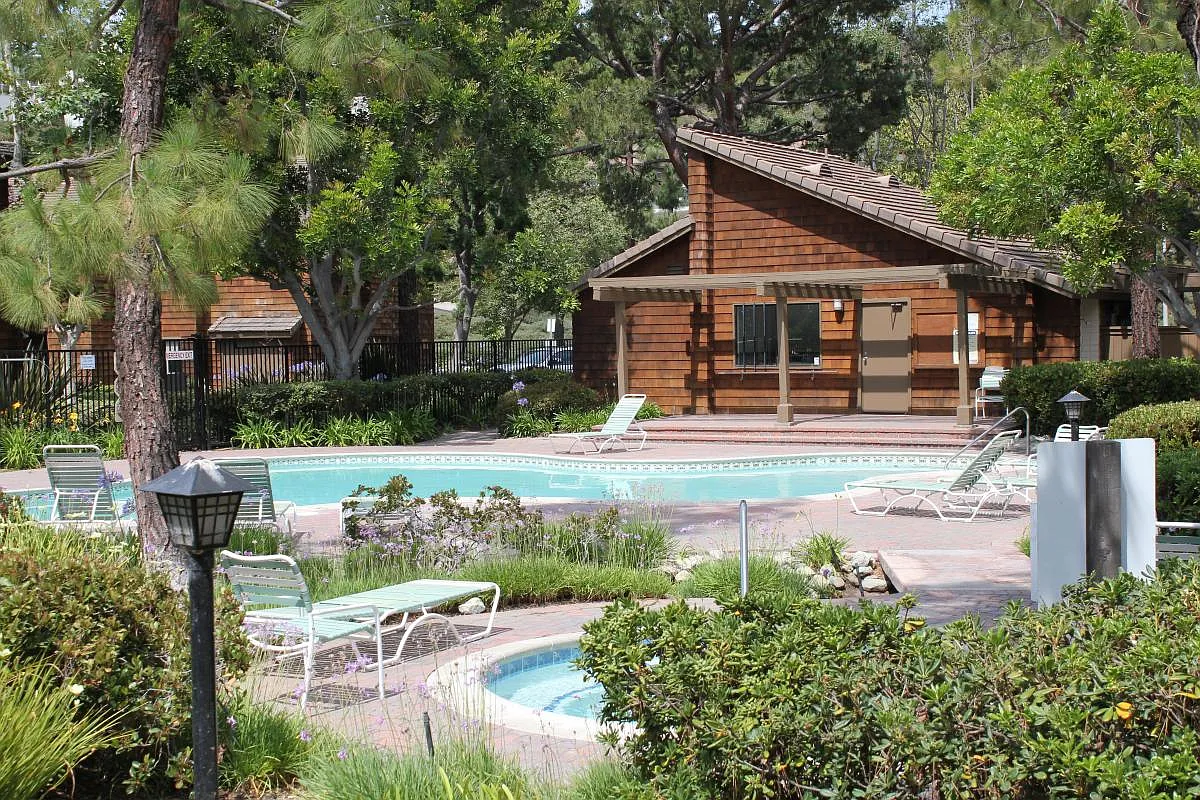 2 bed, 913 sqft, $3,450 — Photo 4