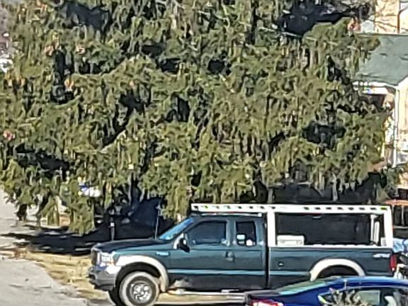 5th image of 609 Hickory Dr
