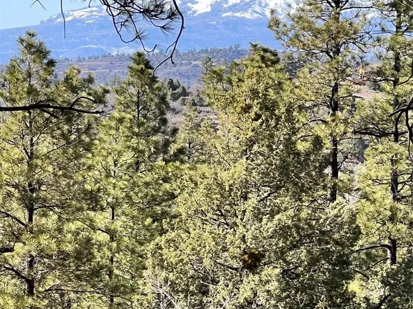 0 Buckman Rd, Chama, NM 87520