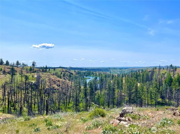 0 TBD Madd Mtn Road, Okanogan, WA 98840