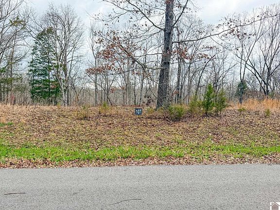 3rd image of Haynes Cemetery Rd