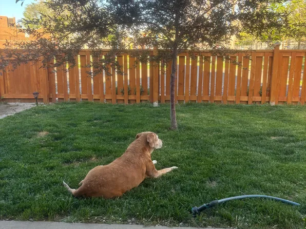 (undisclosed Address), Denver, CO 80223