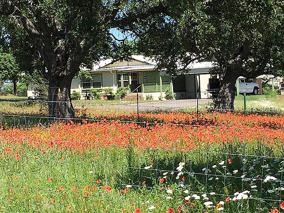 Wildflowers House #1. 