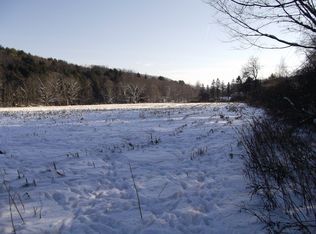 144 Big Hollow Rd, Deposit, NY 13754