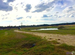 17530 Stoney Point Burch Rd, Pride, LA 70770